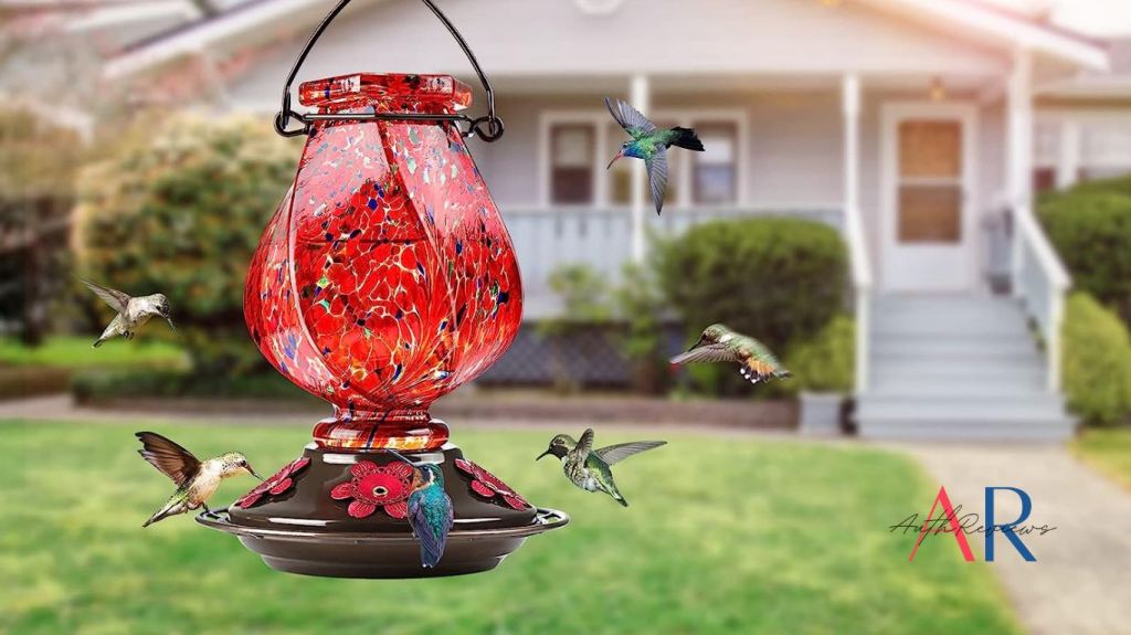 How to Keep Ants Out of Hummingbird Feeders: Simple and Effective Methods